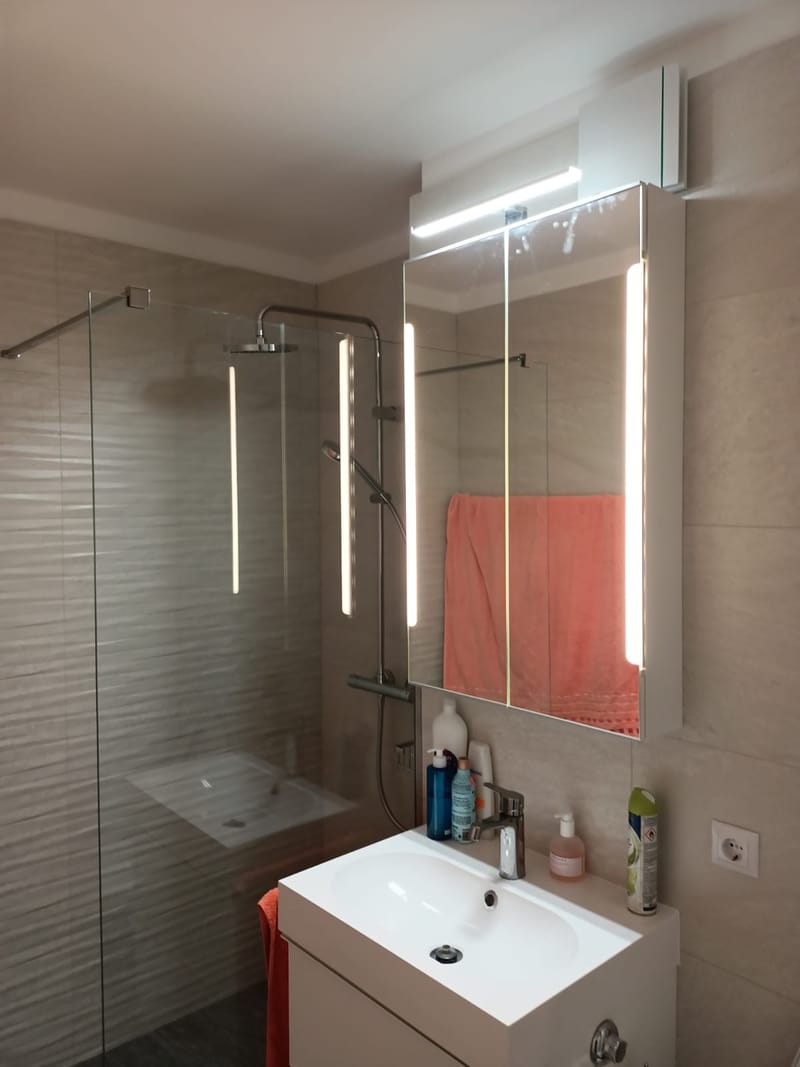 Amenajare apartament Opera Residence 