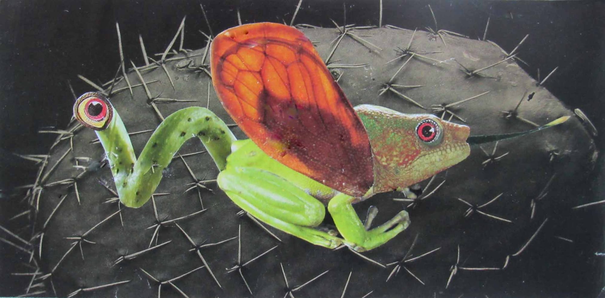 3-eyed Frog with Wings