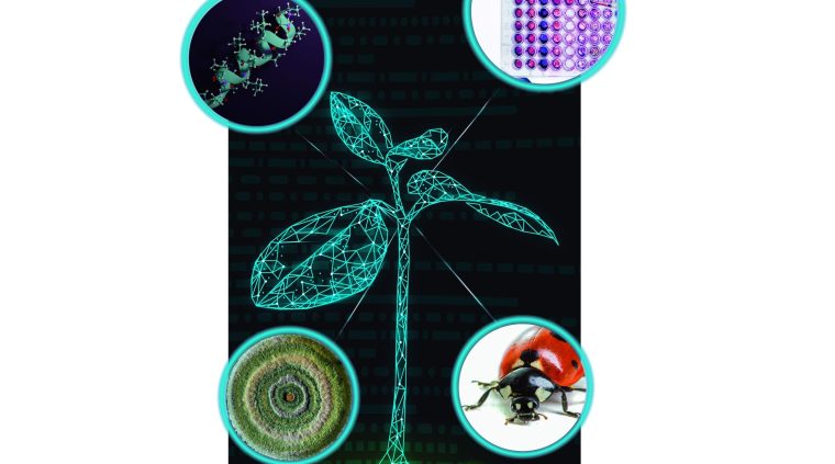 LAS SORPRENDENTES HERRAMIENTAS DE BIOCONTROL PARA EL FUTURO