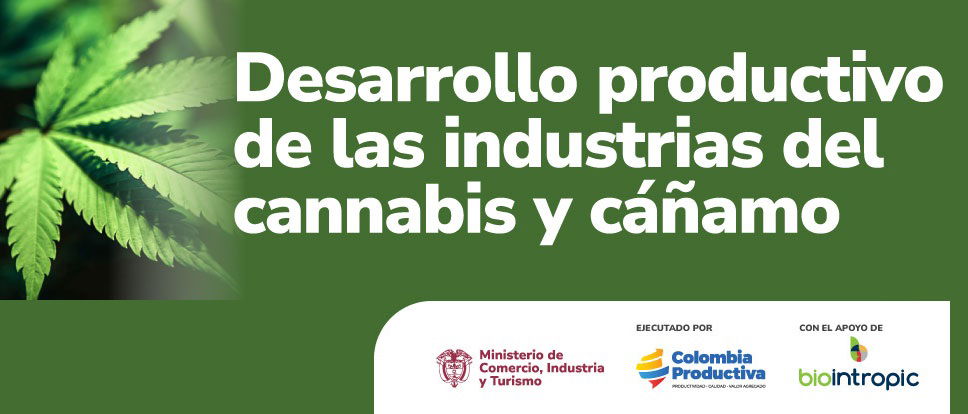 BUSCAN PROYECTOS PARA PROMOVER LA INDUSTRIA COLOMBIANA DE CANNABIS Y CAÑAMO