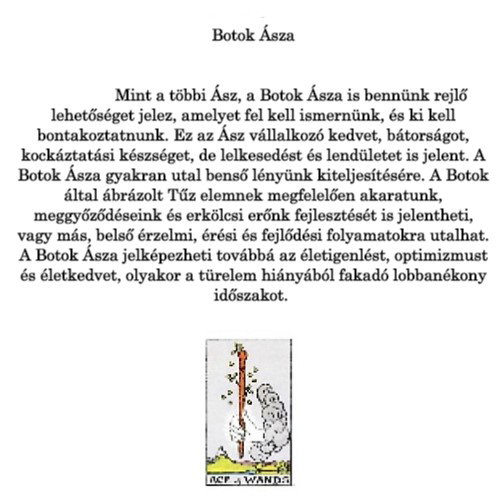 Botok