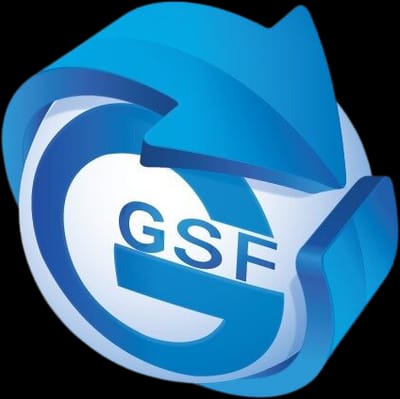 GSF Gestión & Software Financiero