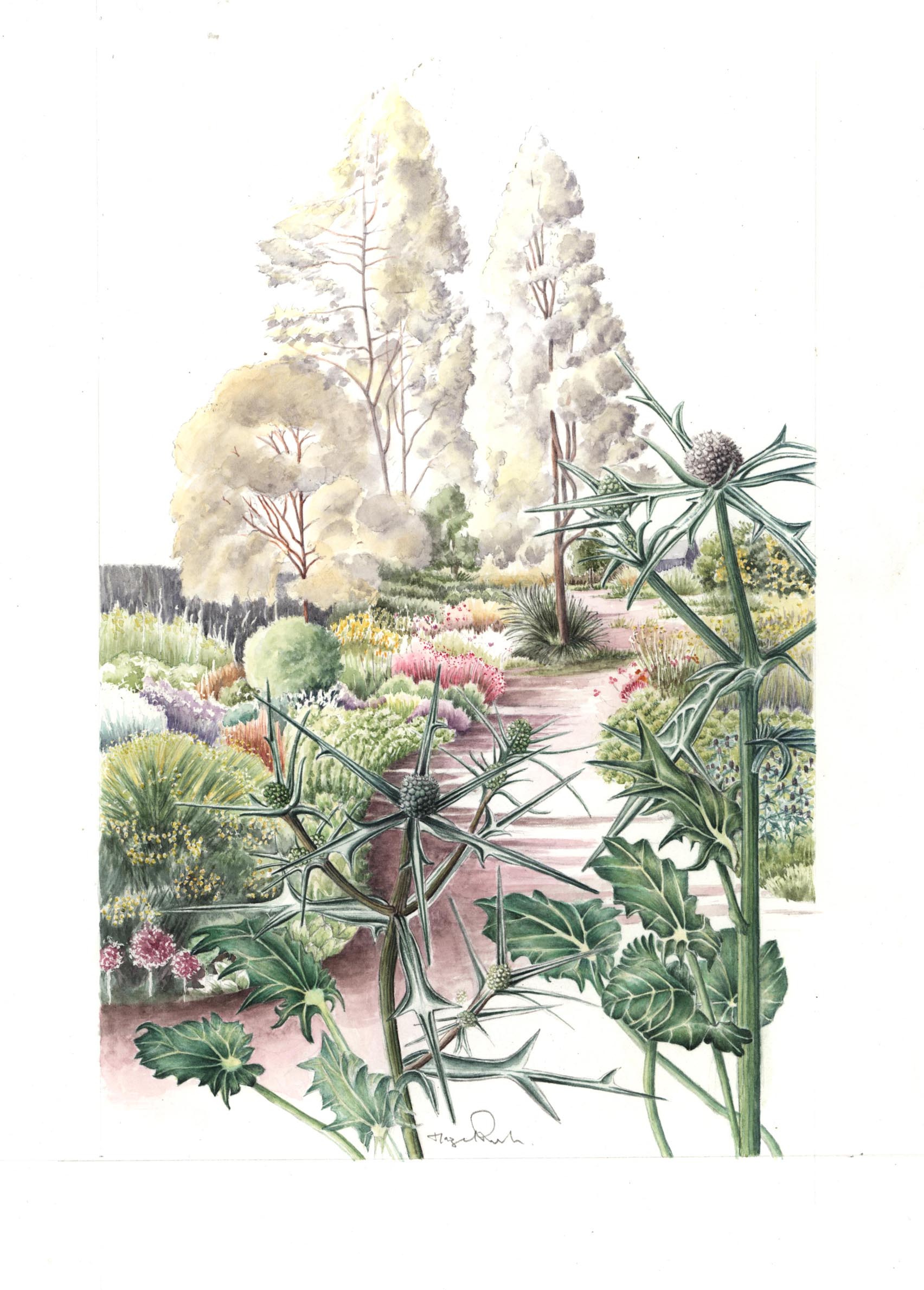 Beth Chatto's Gravel Garden