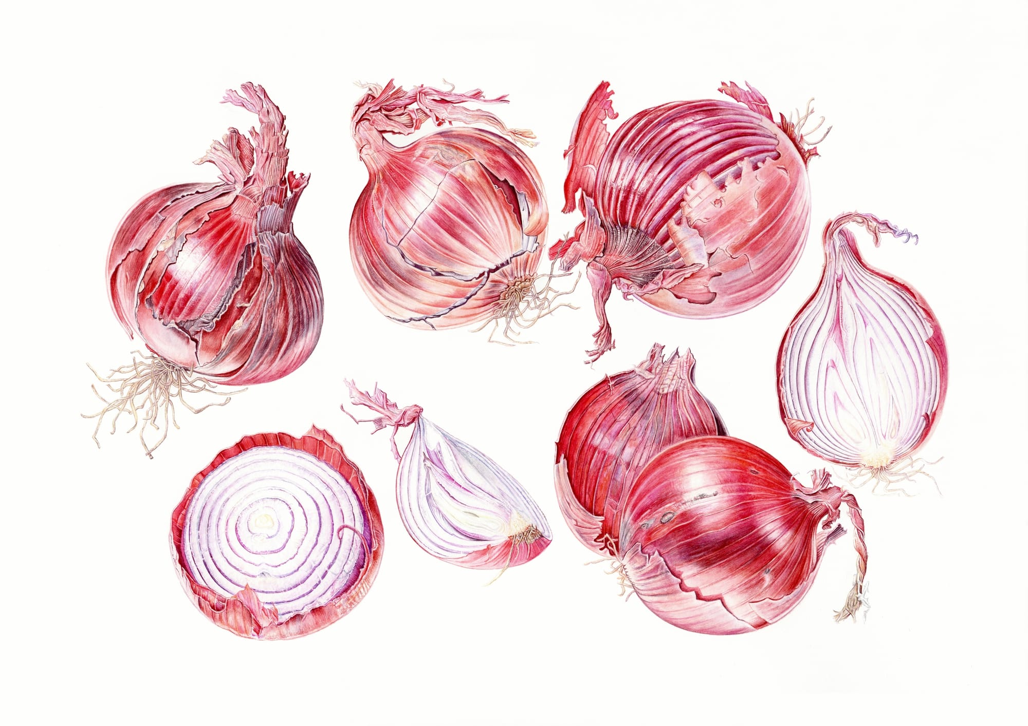 Know Your Onions