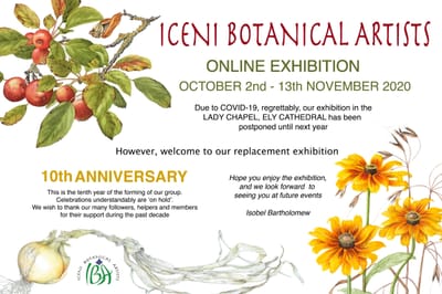 Autumn 2020 online show