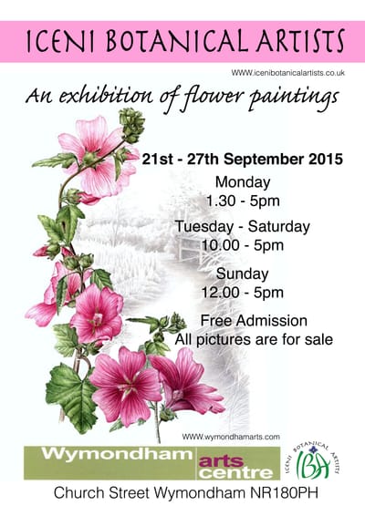 Wymondham Arts Centre 2015