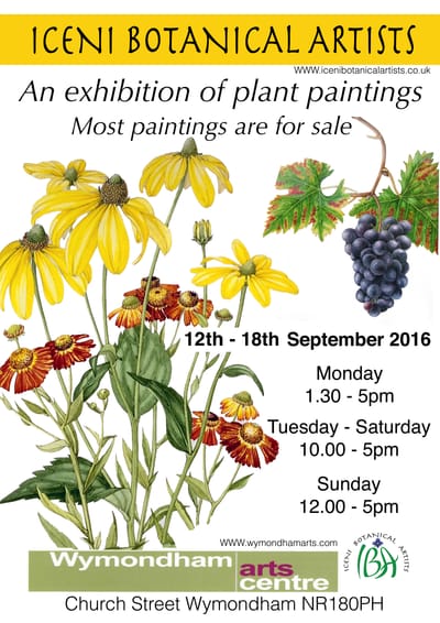 Wymondham Arts Centre 2016