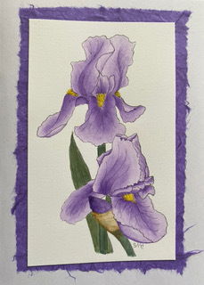 IBA artists reflect on Lockdown: 4 Sandie Hawkins