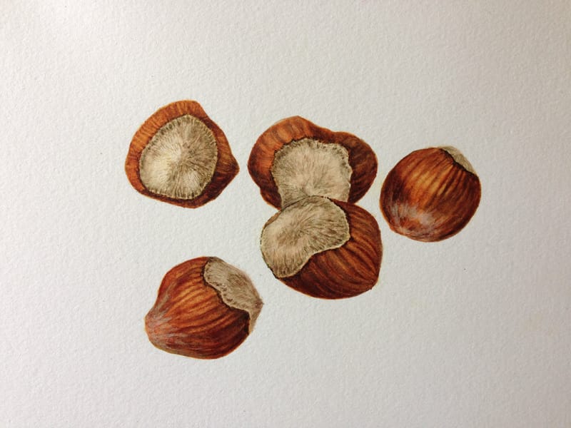 IBA artists reflect on Lockdown: 5 Georgie Kuna