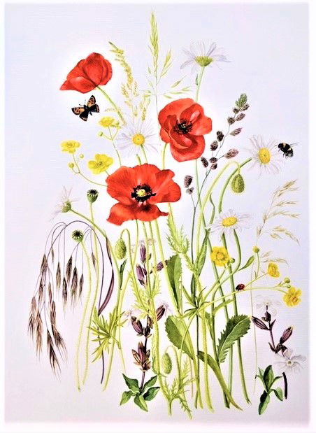 IBA artists reflect on Lockdown: 6 Alison Jones