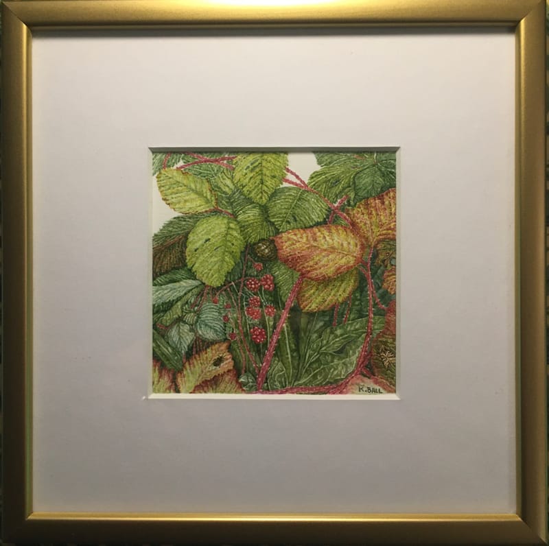 IBA artists reflect on lockdown: 8 Kathryn Ball