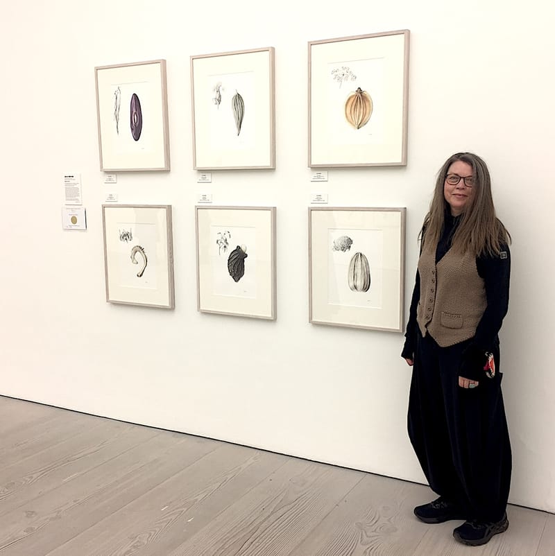 Julia Groves: RHS 2022 - Seeds of Hope.