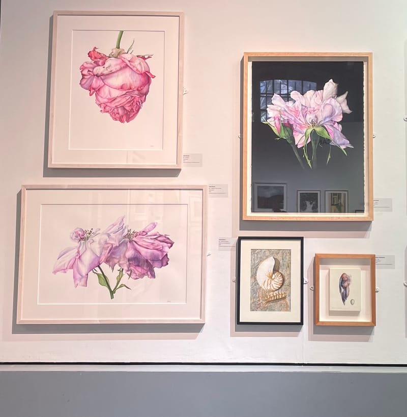 Julia Groves: selected for Royal Institute of Painters in Watercolours 212th exhibition, Mall Galleries, London.