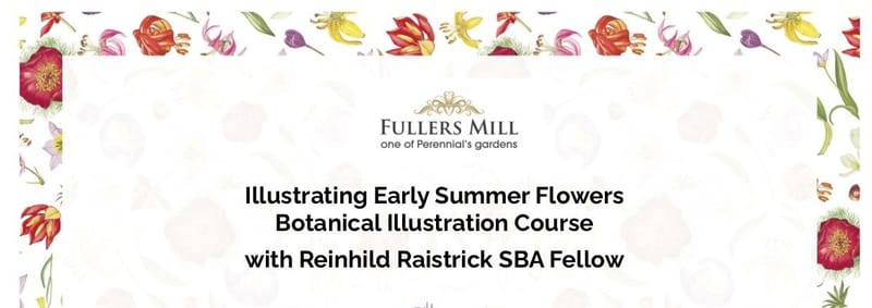 Illustrating Early Summer Flowers with Reinhild Raistrick at Fullers Mill