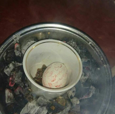 جلب الحبيب  image