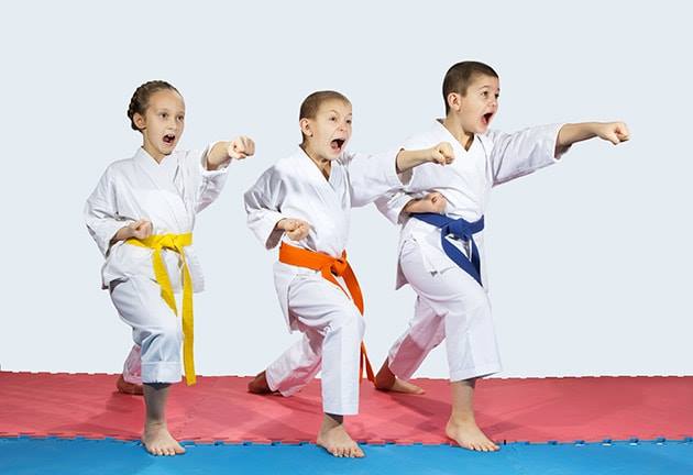 Junior Jujitsu Classes & Grading System