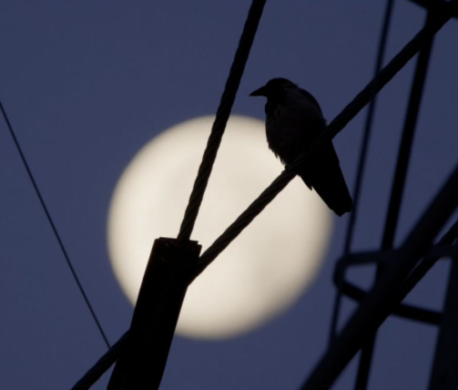 Ökofilmtour zu Gast