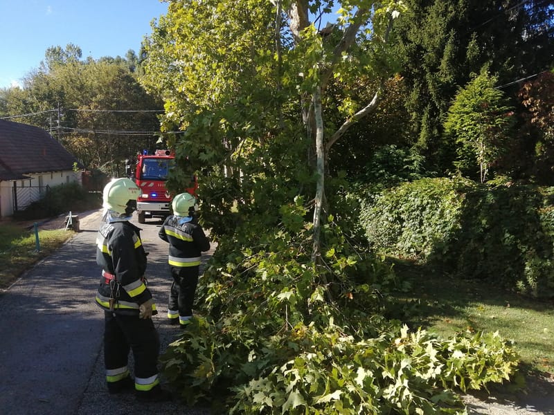 Erős szél adott munkát