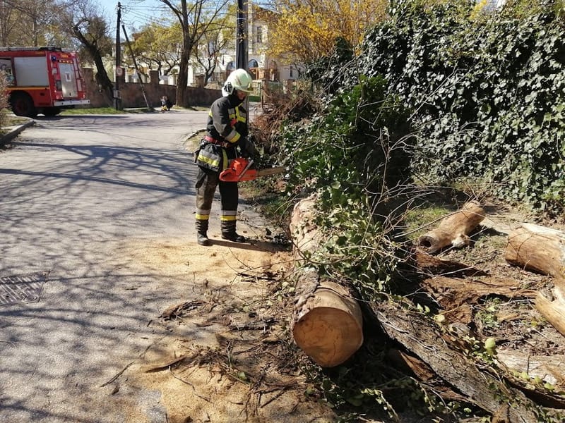 Fakidőlés és kerékpáros baleset