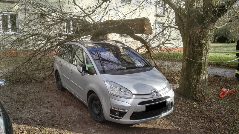 Gépkocsira szakadt a faág