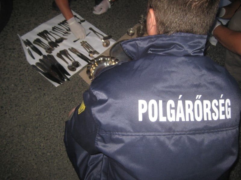 Megzavartuk a betörőt