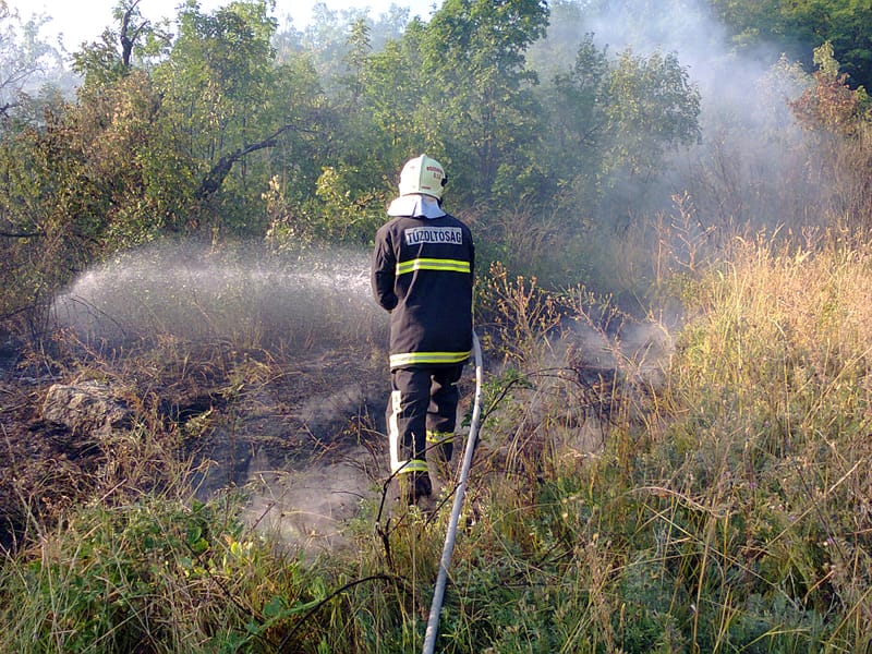 Bozótos égett a Jánosbogár utcában