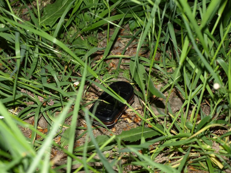 Csoportosan raboltak