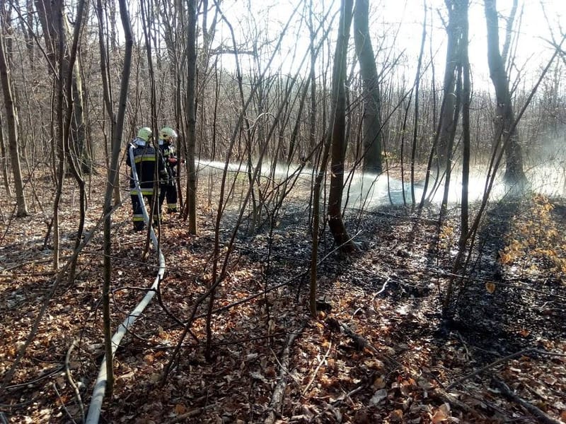Erdőtűz a Jánoshegyi út közelében