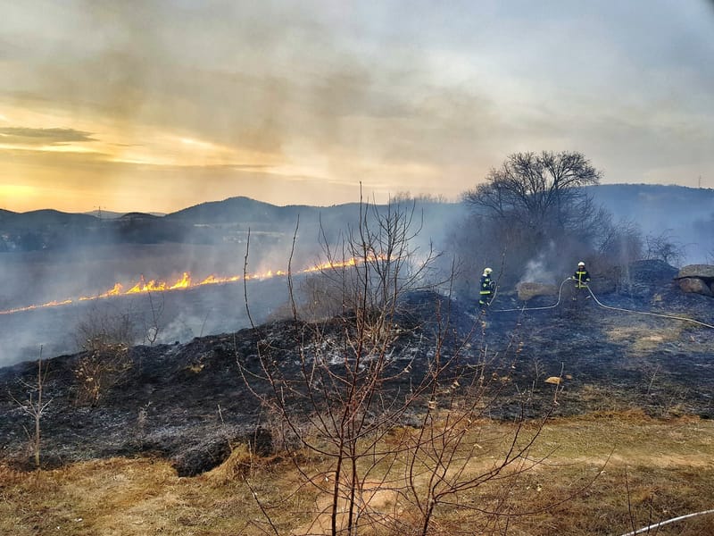 Száraz növényzet égett