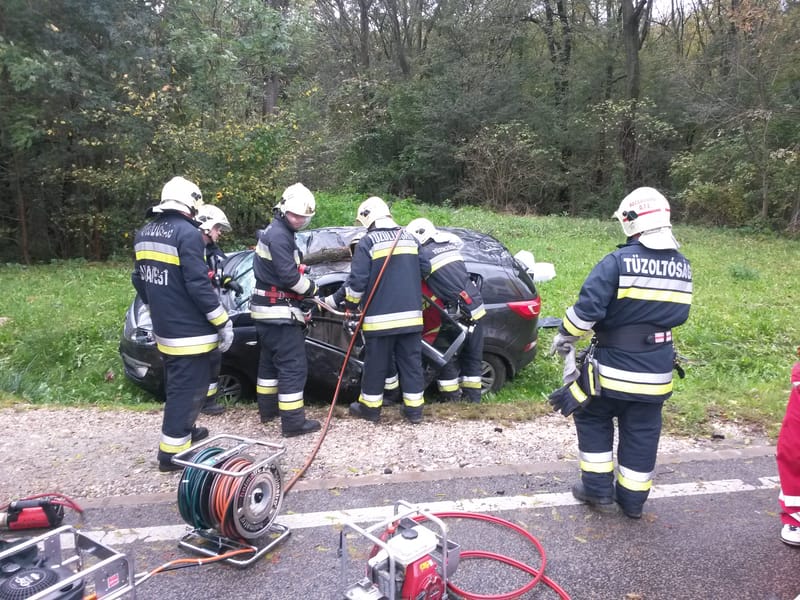 Súlyos sérülést szenvedett a leszakadt faágtól