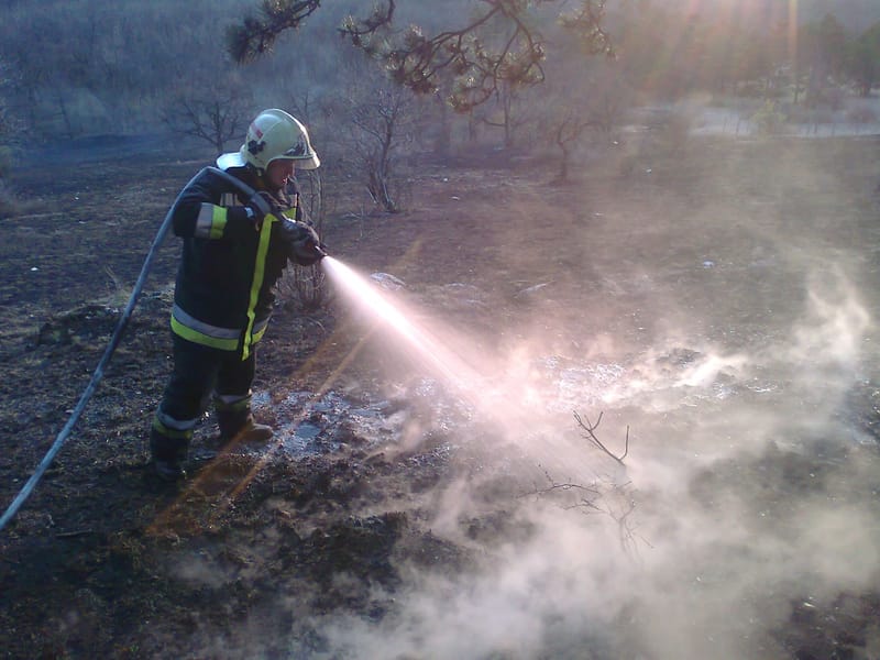 Természetvédelmi területen pusztított tűz