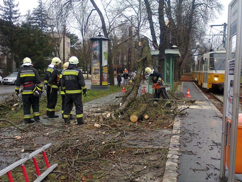 Villamosmegállóra szakadt a faág