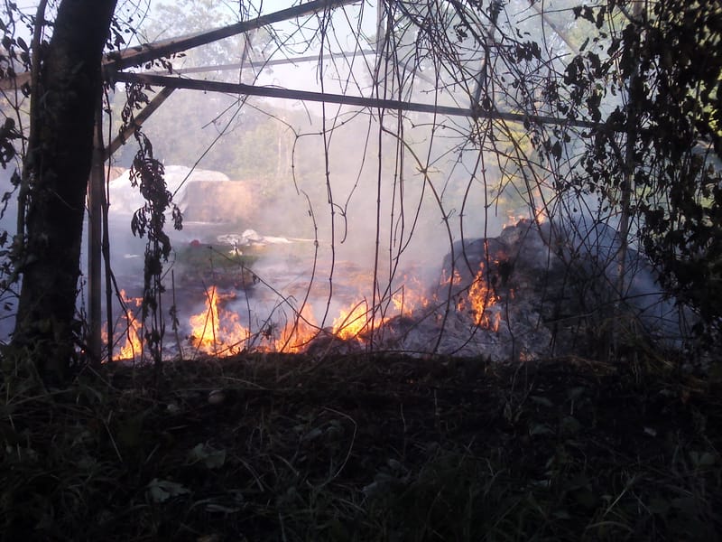 Takarmány tároló égett a Hárshegyi úton