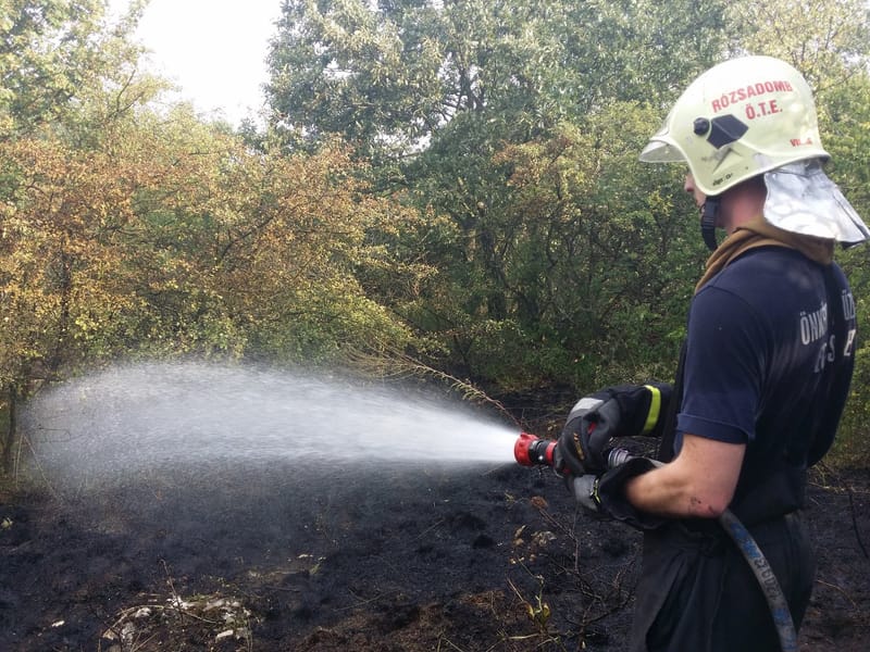 Bozóttűz Adyligeten