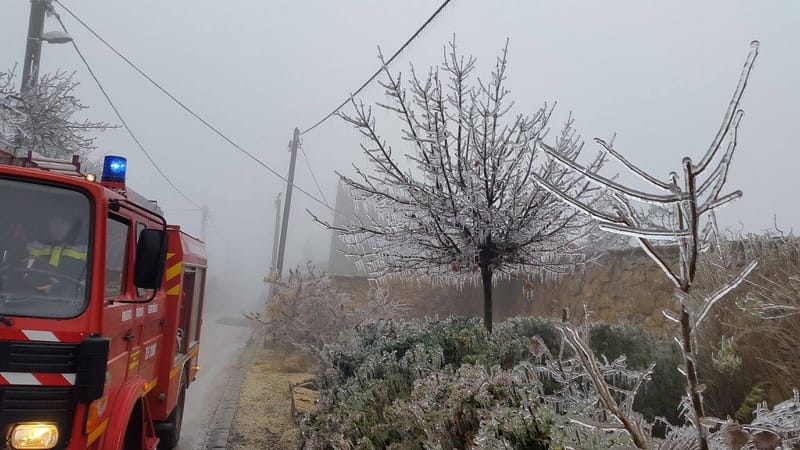 Nem bírták a fák a jég súlyát