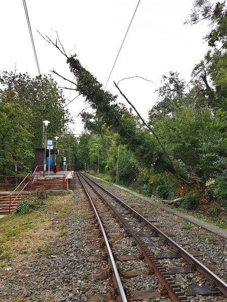 Károkat okozott a viharos szél