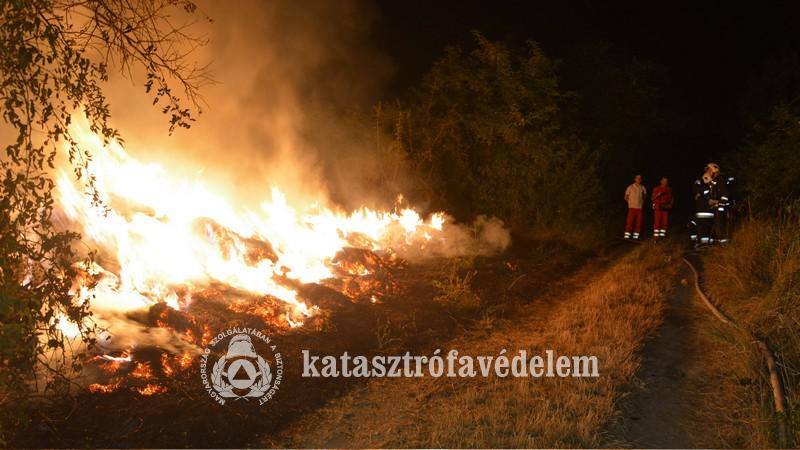Két tűzesethez is vonultunk egy nap alatt Pesthidegkútra