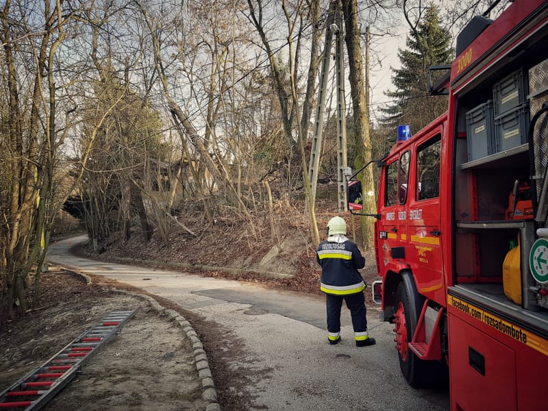 ELMŰ kért segítséget