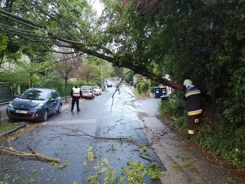 Ágakat szakított le és fákat döntött ki a viharos szél