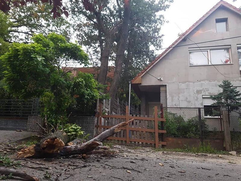 Villanyvezetéket szakított egy letört faág