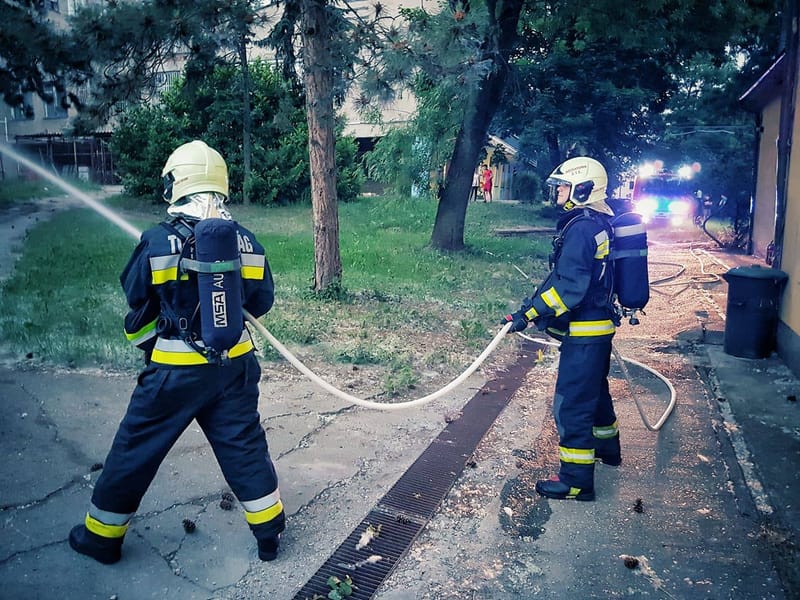 Nyárfa virága égett