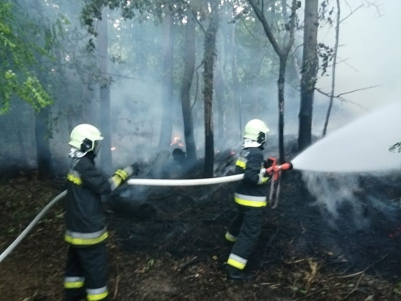 A házakat és az erdőt is veszélyeztette a tűz