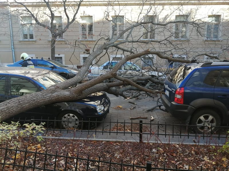 Parkoló autókra dőlt egy fa a Lövőház utcában