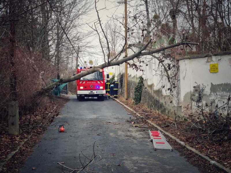 Január végi szélvihar