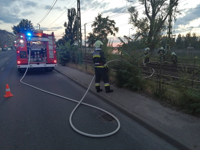 Vasúti talpfa füstölt