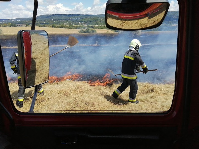 Tíz hektár kaszáló égett Budakeszin