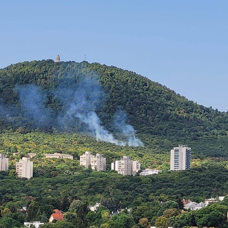 Erdőtűz a János-hegy oldalában