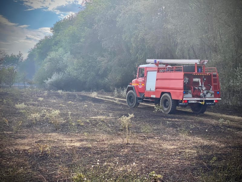 Történelmi szárazság, fokozott tűzveszély a Budapest környéki erdőkben is