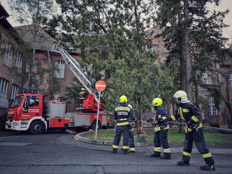 A viharos szél országszerte, és Budán is károkat okozott