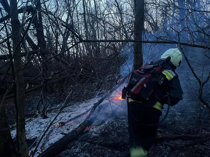 Erdőtűz a Hárshegyen